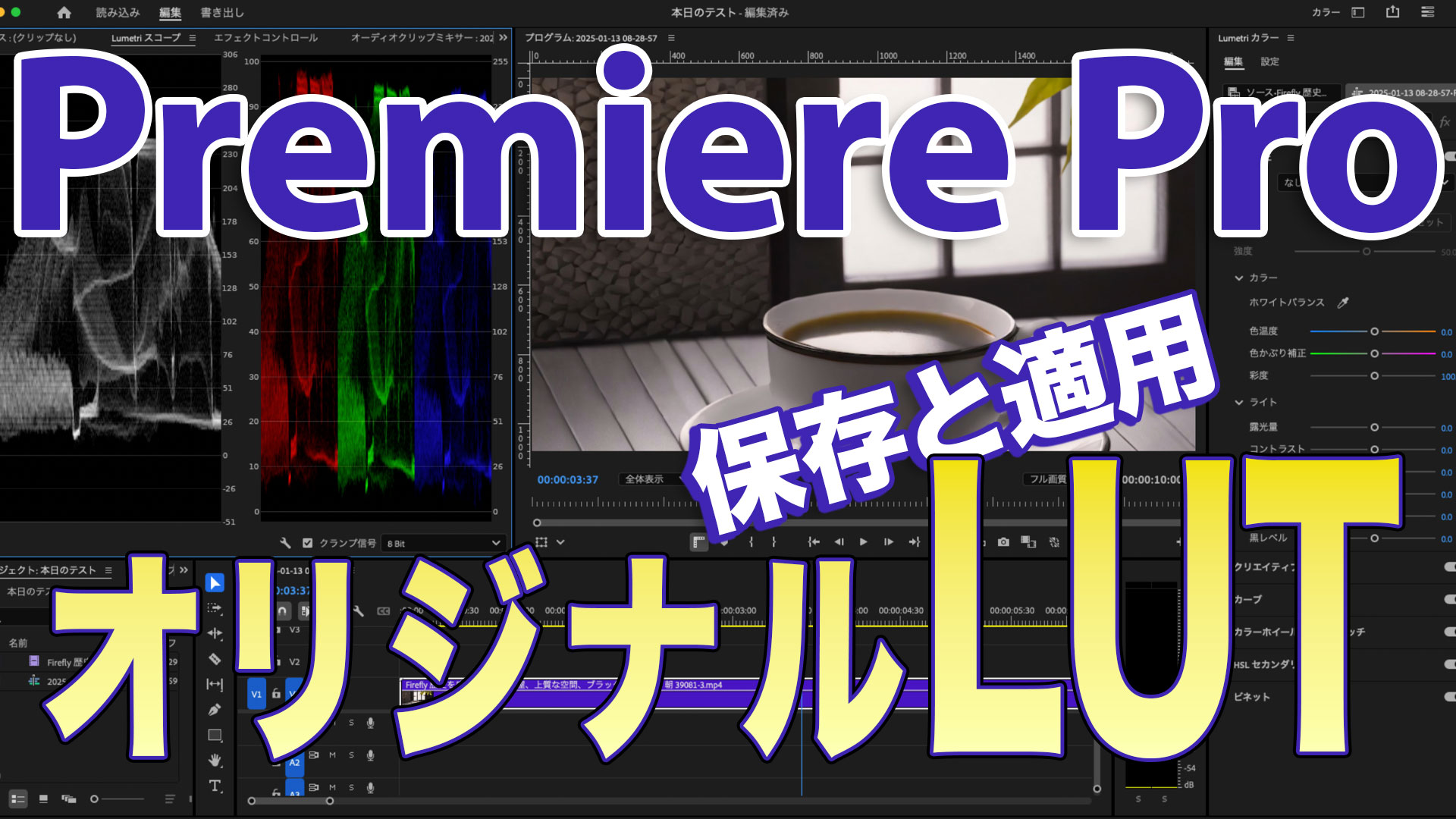 Premiere Pro LUT 作り方｜初心者向けオリジナルLUTの作成と映像への適用方法 | 036Factory | 焙煎士×AIで創る ...